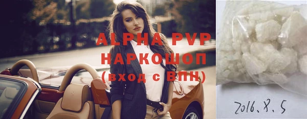 гашик Абаза