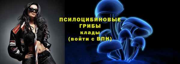гашик Абаза