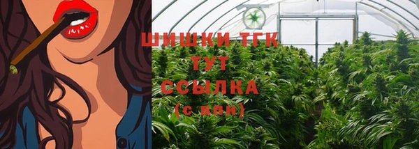гашик Абаза
